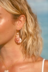 Image 3 of OCEANA STUDS 