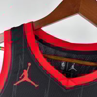 Image 4 of Toronto Raptors Home