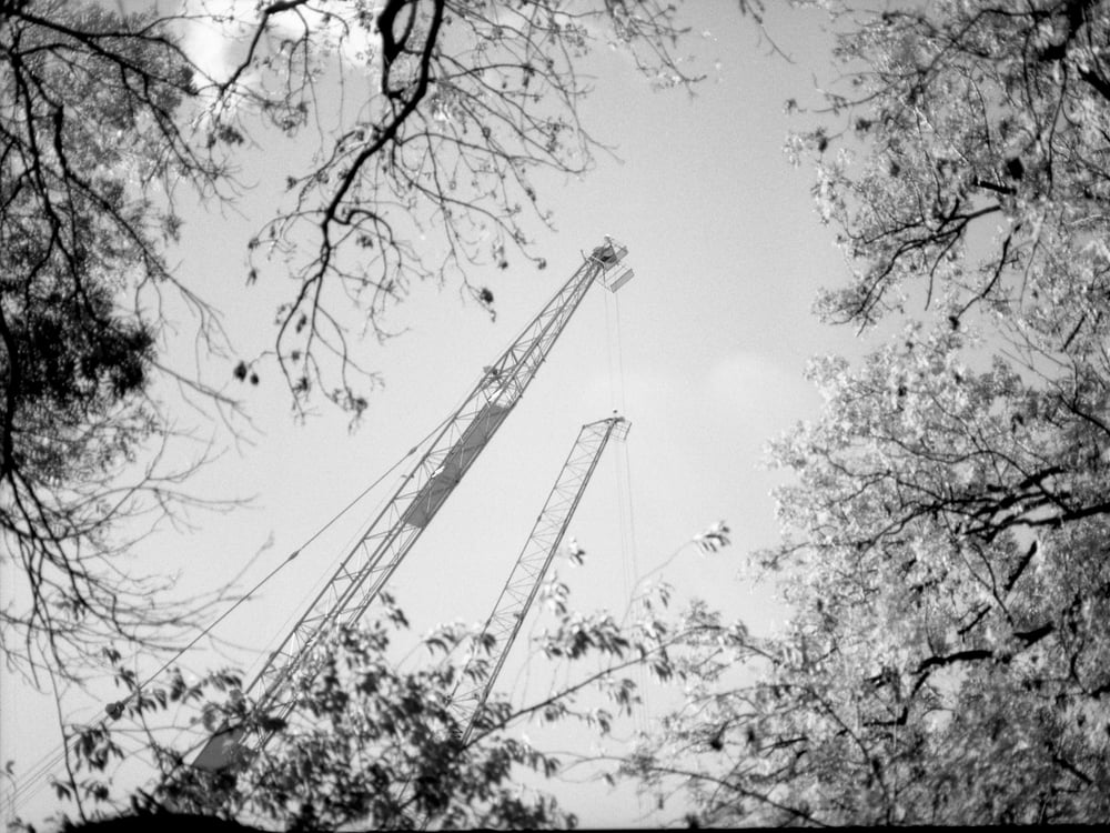 Image of Nature envelops