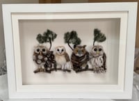 Image 1 of 'Having a Hoot'