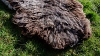 Image 3 of Harting Black Sheepskin #1