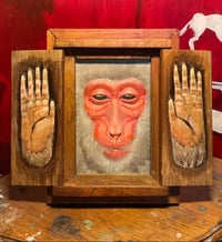 Image 2 of Peekaboo!