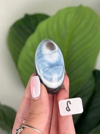 Image 19 of BLUE OPAL SHIVAS