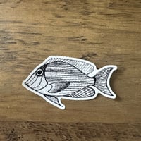 Kole Stickers 