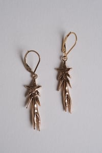 Stargazer Earrings - Bronze with gold filled hooks