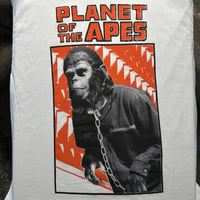 Image 2 of Planet of the Apes 
