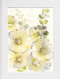 Hollyhocks no. 1