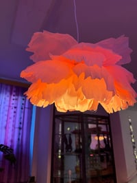 Image 5 of ACID BLOOM workshop