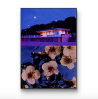 Image 7 of MOCK ORANGE, NIGHT LANDSCAPES