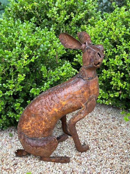 Image of Garden Hare VI 
