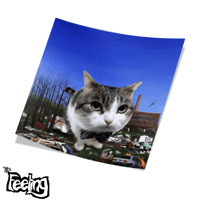 Image 3 of Funny Cars Leftovers