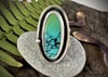Bao Canyon Turquoise and Silver Ring ~size 8