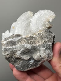 Image 17 of Ram’s Horn Selenite, Gypsum Specimen | Guizhou China #3048