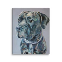 Image 3 of Sweet Mastiff