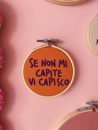 Image 1 of Telaio Se non mi capite vi capisco