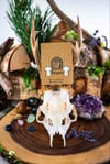  CRYSTAL MUSHROOM // Build Your Own // Earrings 