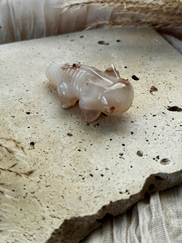 Image of Flower Agate Axolotyl Carving 
