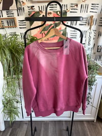Image 1 of NWT fbf sweatsuit 