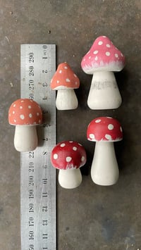 Image 5 of Mushrooms 