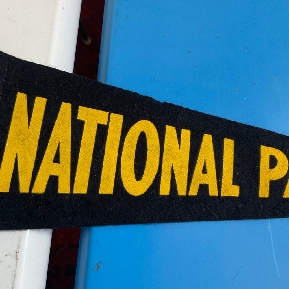 Image of Old Felt Pennant 