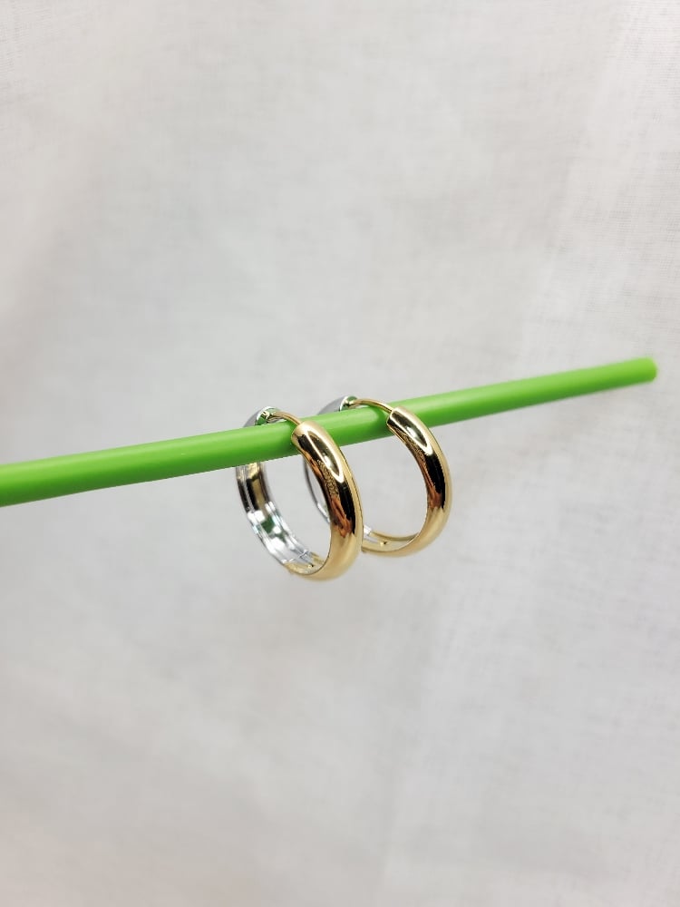 Image of Taylor Hoop Earrings 