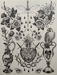 Print - Flash Sheet 7