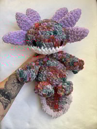 Image 1 of nixie the axolotl