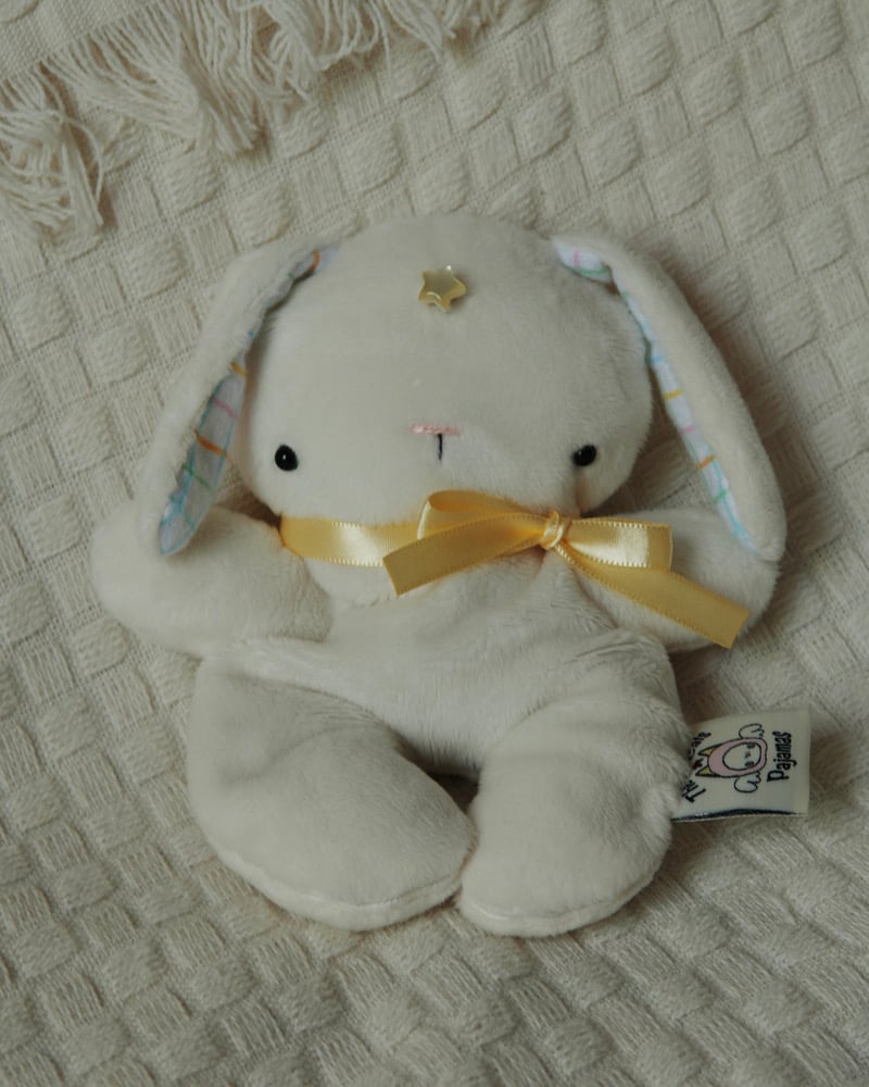 Image of FIRST TIME BUYERS ONLY Star Bunny MINIS