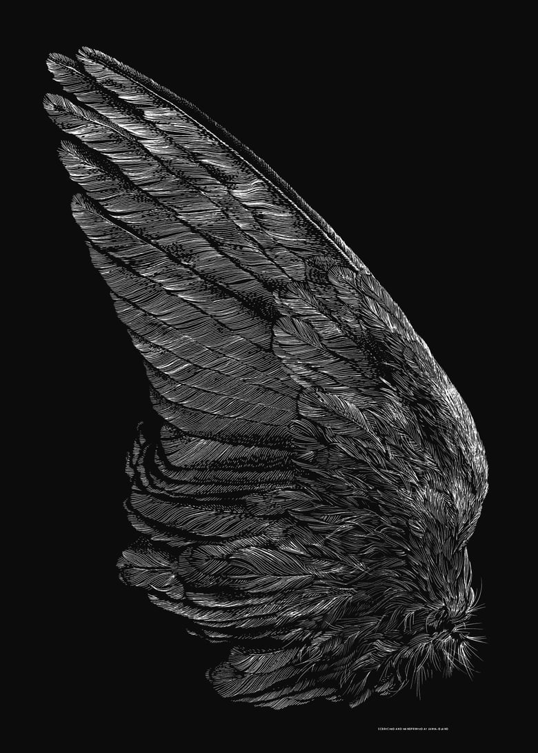 Image of »Wing« Artprint