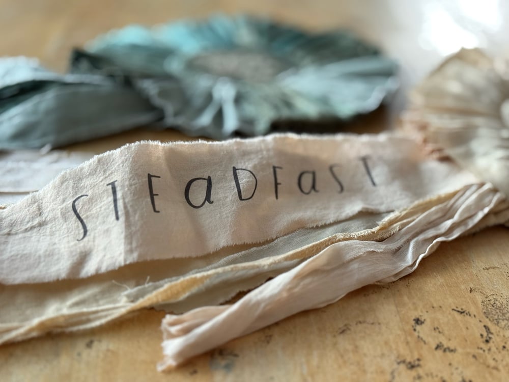 Image of Steadfast, 2nd edition