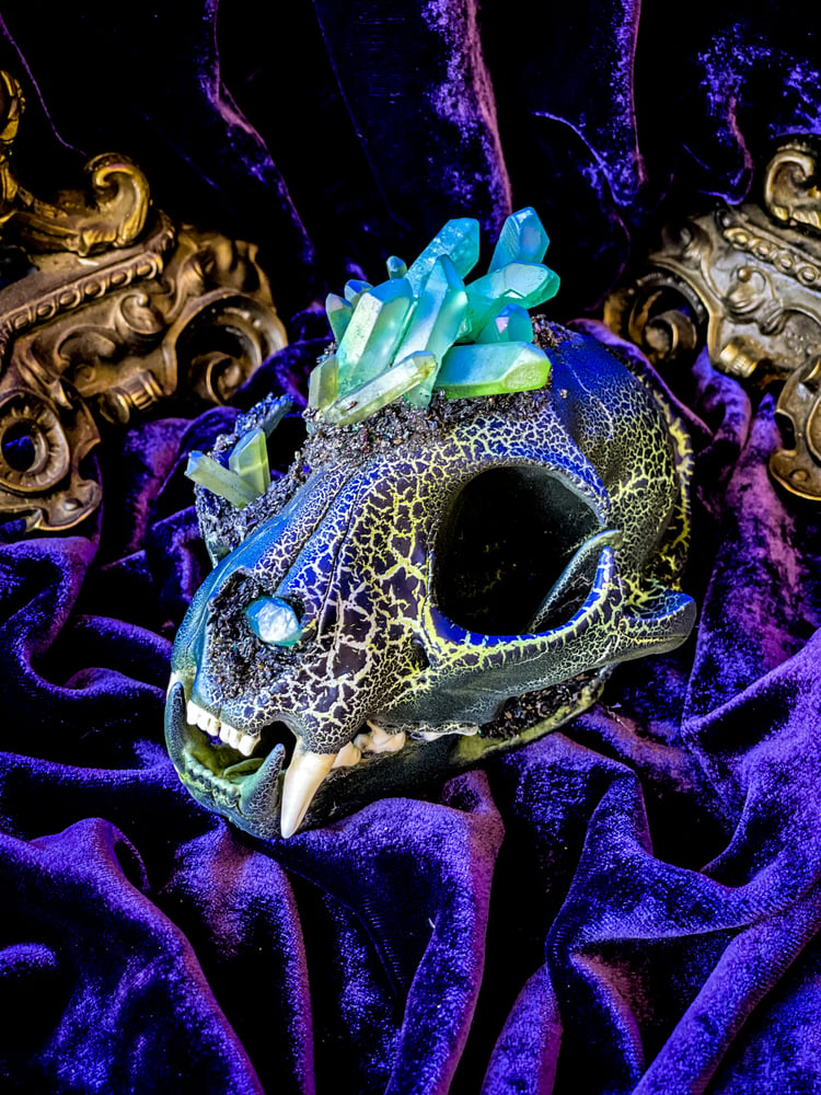 Image of UV Luminescent, Green Aura Quartz & Carborundum Bobcat Skull.