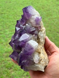 Image 16 of Amethyst Points Cluster | Congo #2868