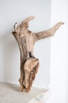 Hudson Driftwood Raven + Red Tailed Hawk Sculpture