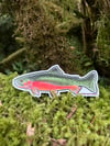 Large Greenback