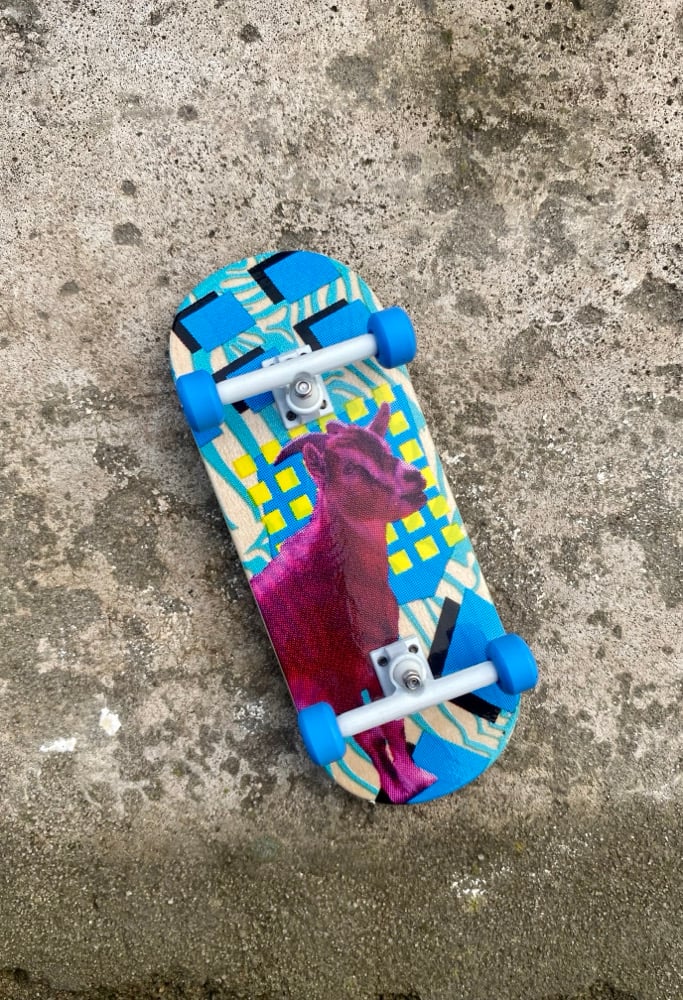 Image of GOAT popsicle36mm complete