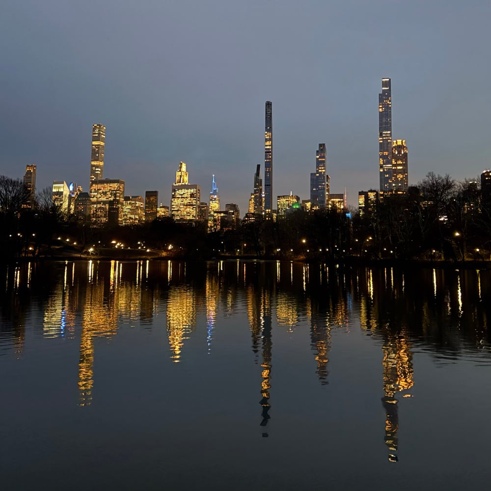 Image of nyc from central park 5x5 mini art print