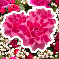 Image 1 of ELEGANT Rose Layered 1028