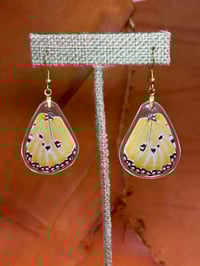 Image 1 of African Monarch Hindwings