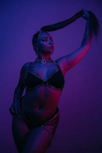 Image 2 of Chesty Harness Sample