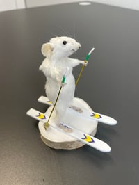 Image 2 of Squeaker Skier – Taxidermy Mouse on Skis