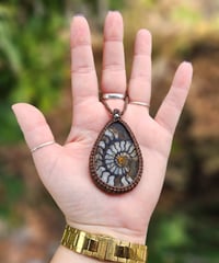 Image 3 of Large Unique Ammonite 