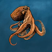 Image 2 of Octopus sticker or Print