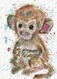 cheeky monkey canvas, print or original