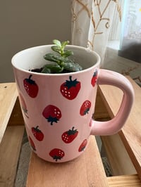 Image 3 of Jade Plant in Strawberry Mug