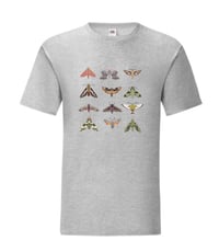 Image 4 of 12 Hawk-moth Collage T-shirt