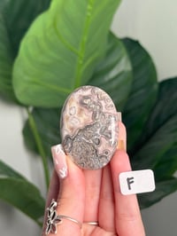 Image 11 of MEXICAN LACE AGATE PALM STONES