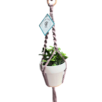 Image 2 of Macrame Plant Hanger