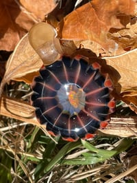 Image 7 of Firebird