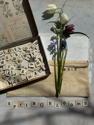 Image of Box of vintage letter tiles
