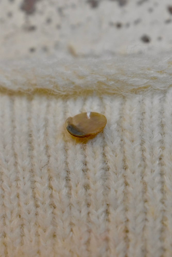 Image of Knitted tank top